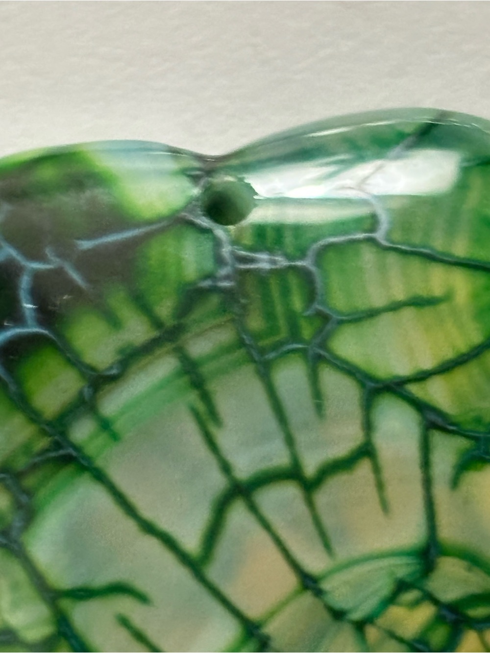 Close Up Vein Stem Leaf Phototropism Color Rock - Picture 6 of 16